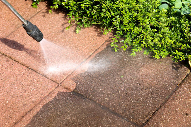 Best Pressure Washing Services Near Me  in Gantt, SC